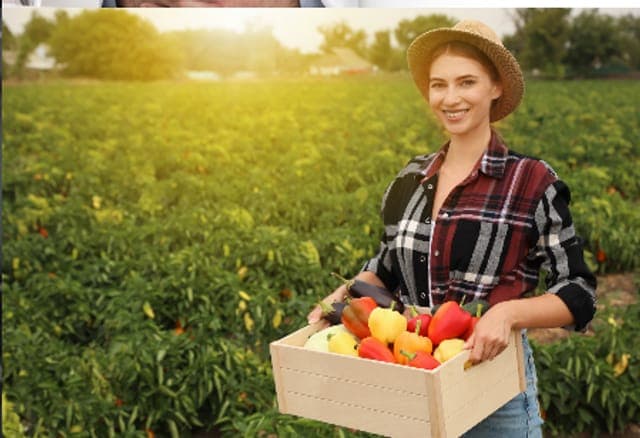 Arbeitsschutz in der Landwirtschaft: Landwirtin mit Gemüsekiste auf dem Feld